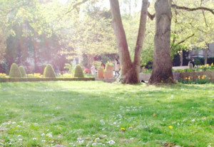 Fronhof, Dompark, Augsburg, Sommer