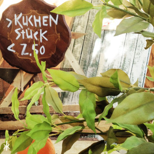 Kuchen vom City Café auf dem Modular Festival 2015 in Augsburg