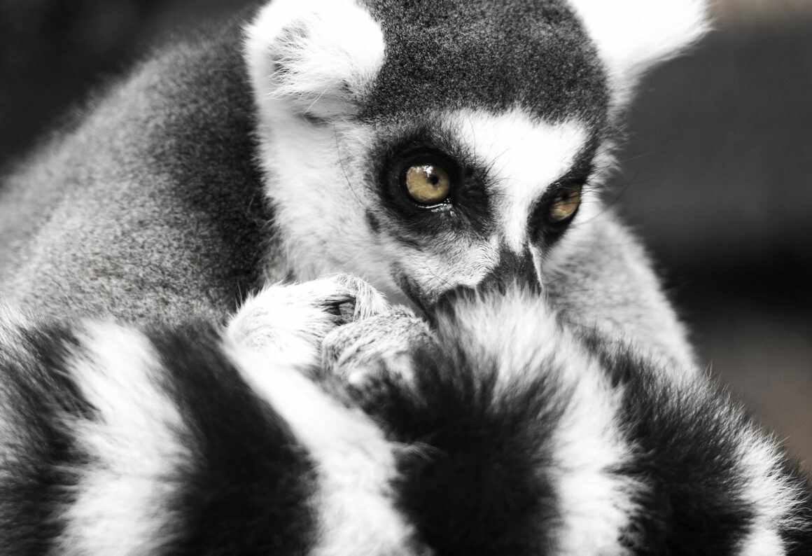 Keine Pandaaugen dank thermosensitiver Mascara