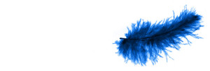 Ein Twitter-Vogel hat was verloren