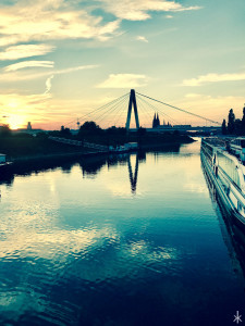 Blick über den Rhein