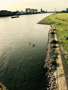 Rhein mit Pollerwiesen