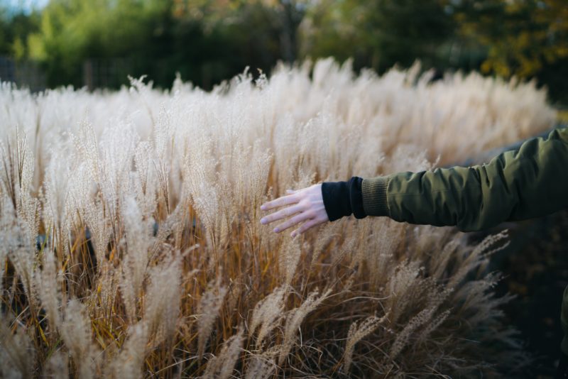 Weltfrauentag 2021 – Zeit für den Ausgleich weiblicher UND männlicher Prinzipien. Denn das eine kann nicht ohne das andere.