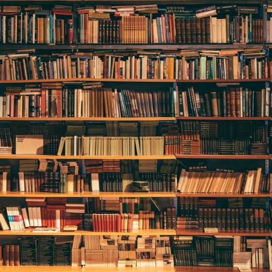 Bücherwand mit vermutlich ungegenderten Büchern
